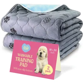 2-Pack Superior Reusable Puppy Pads Pet Training Pads