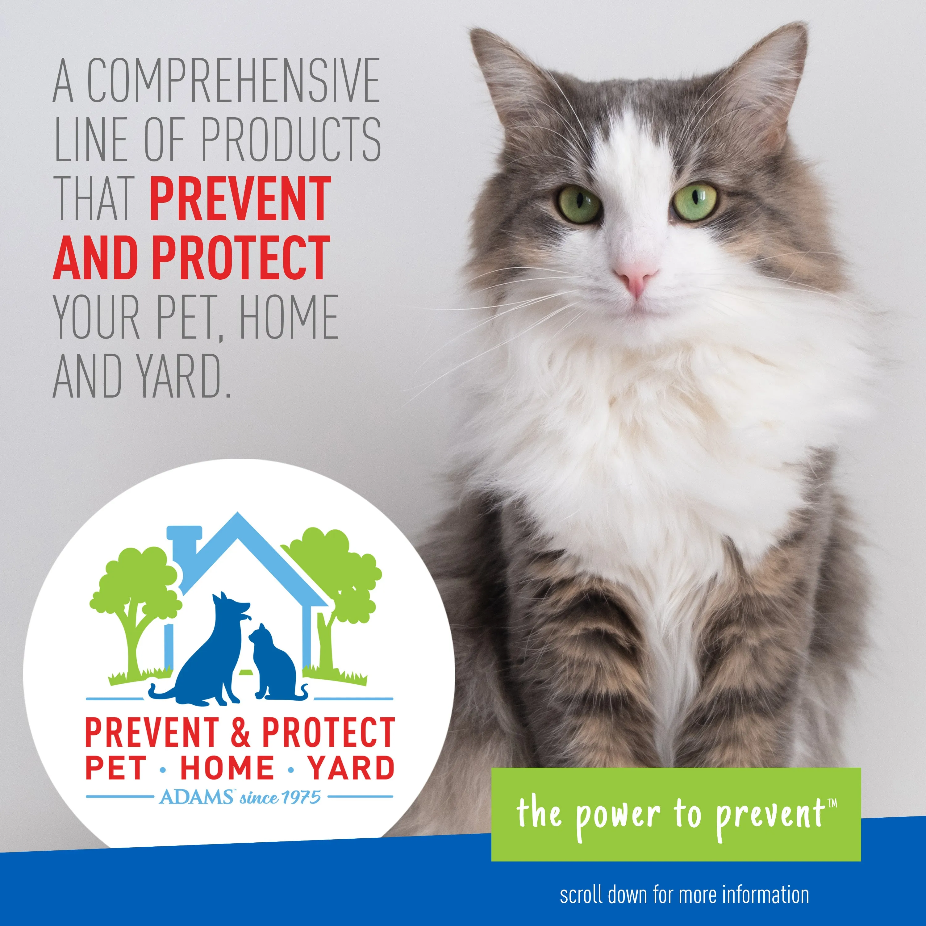 Adams Plus Flea & Tick Collar for Cats