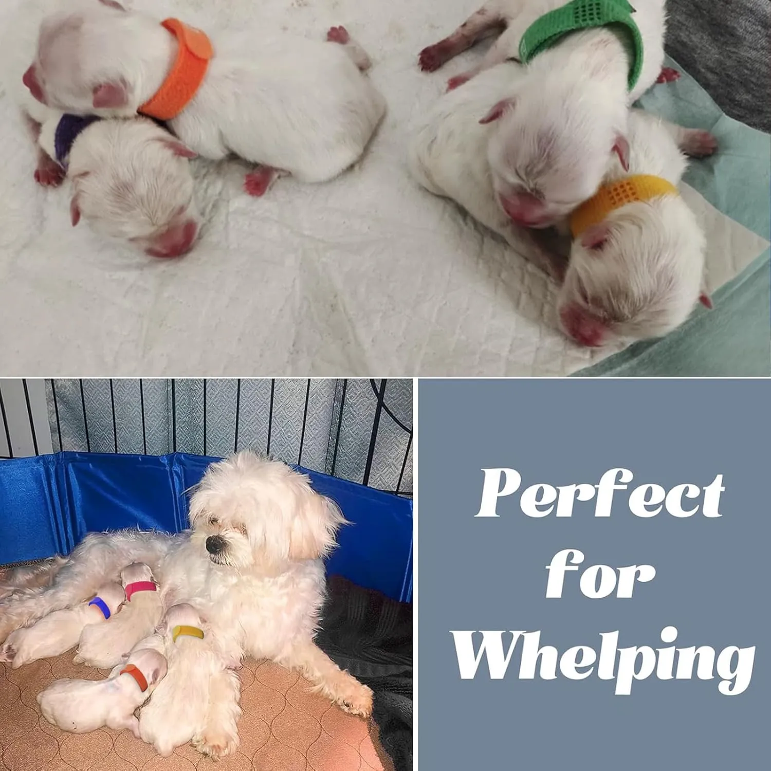 Artilife ,Welping Box Whelping Pen Whelping Box for Puppies Whelping Supplies (, 63" x12 H(160x30cm))