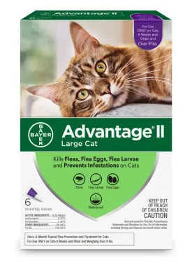 Bayer Advantage II Large Cat, 4-Pack