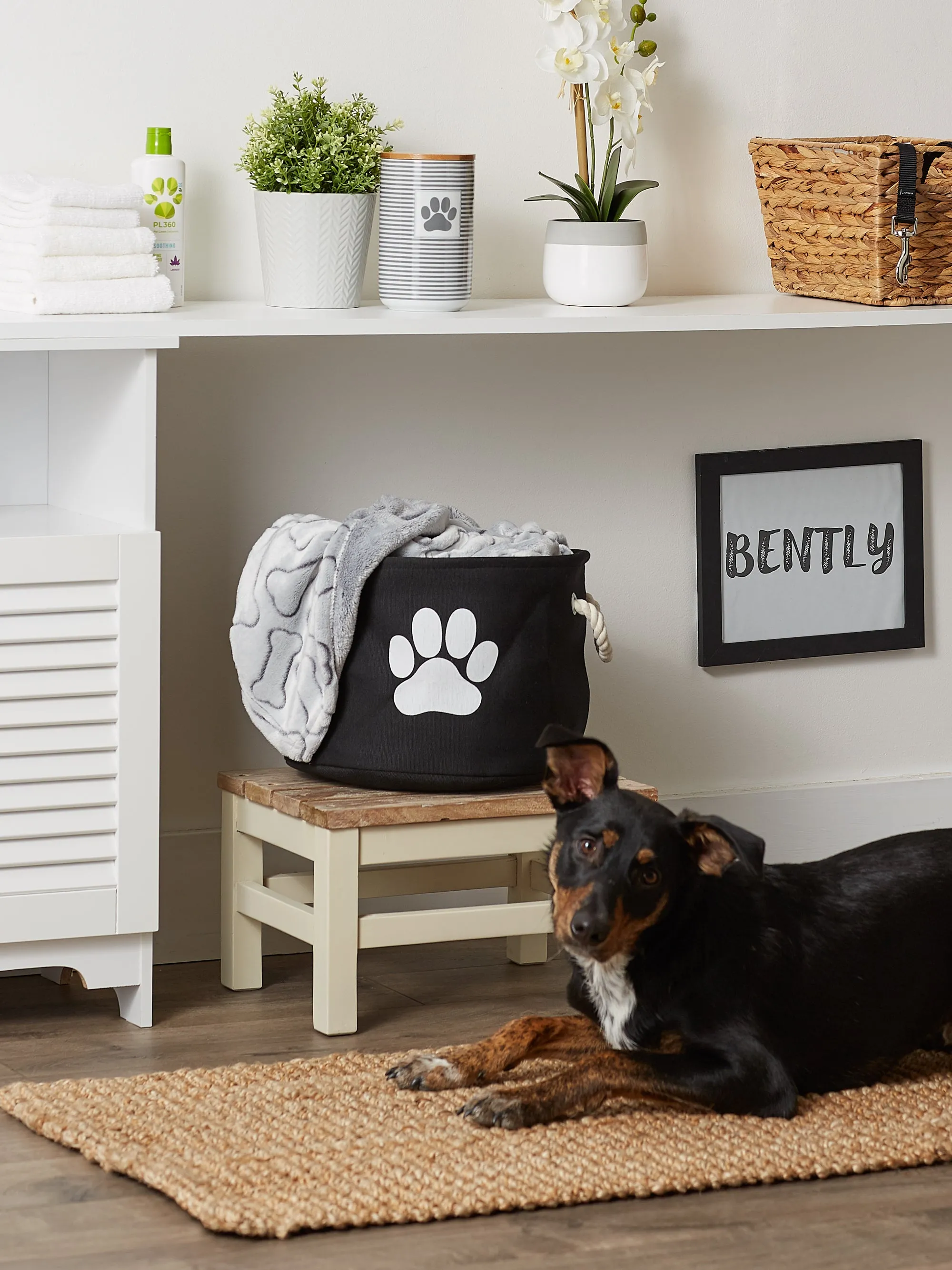 Bone Dry Collapsible Pet Storage Bin, Paw Print, Black, Small Round - 12x9"