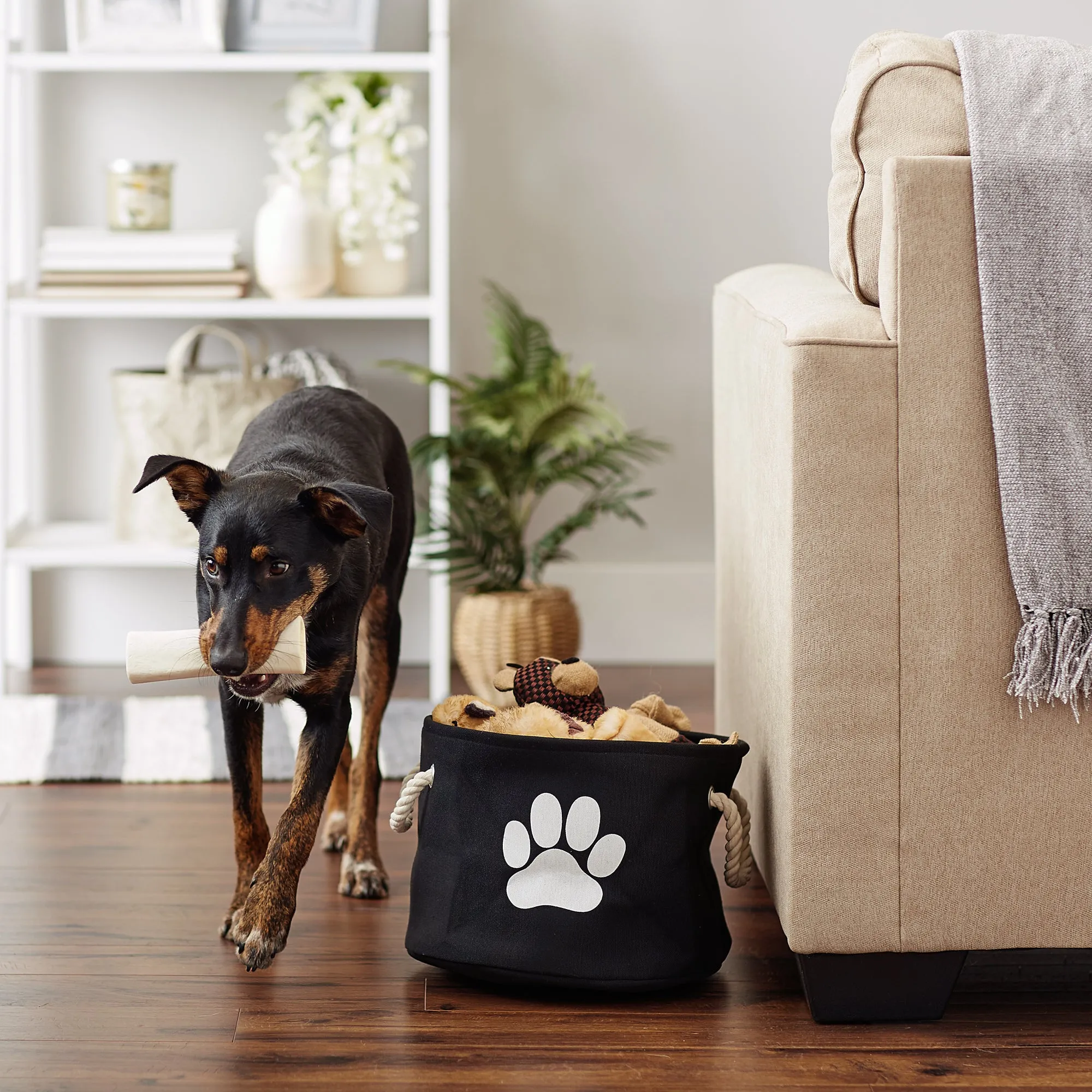 Bone Dry Collapsible Pet Storage Bin, Paw Print, Black, Small Round - 12x9"