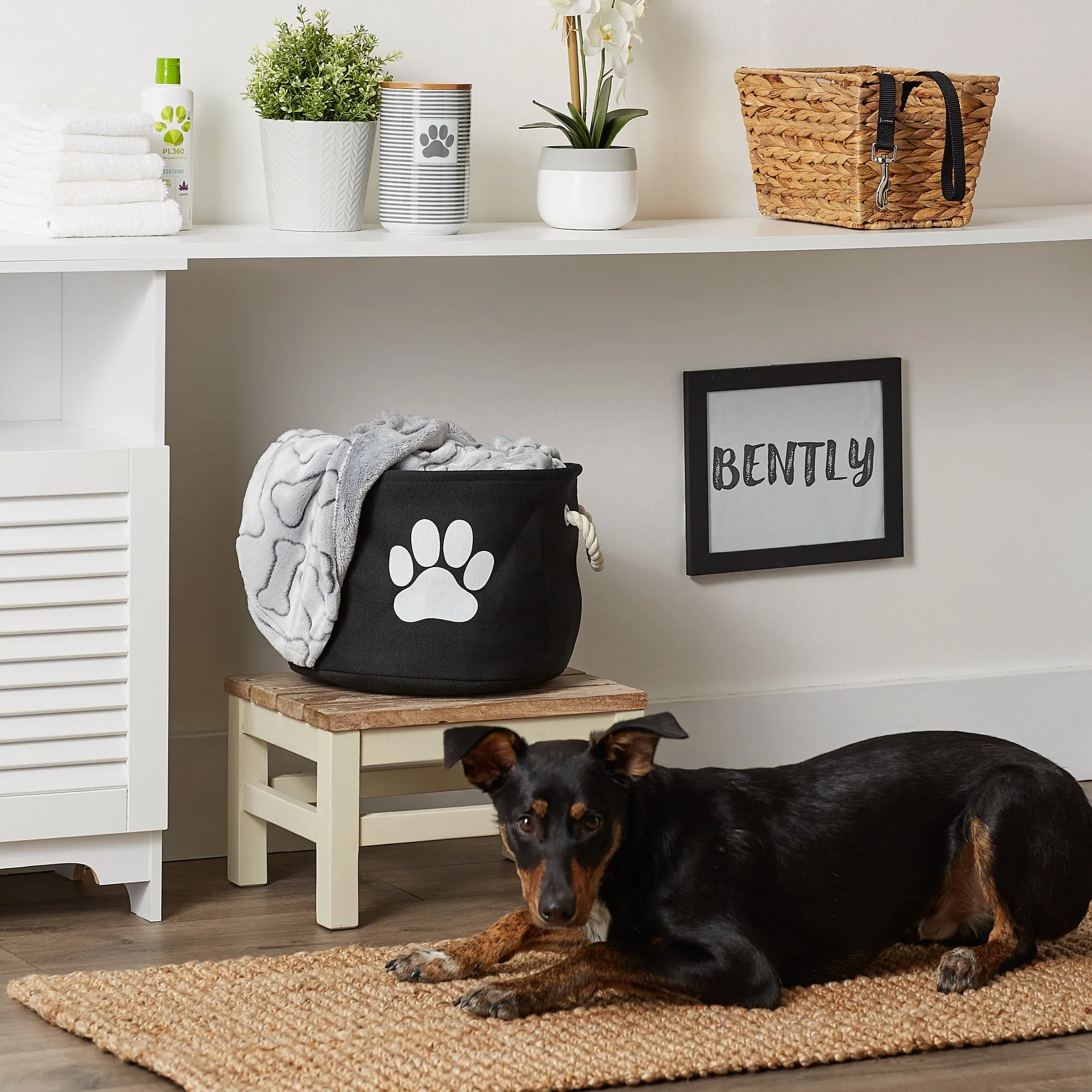 Bone Dry Collapsible Pet Storage Bin, Paw Print, Black, Small Round - 12x9"