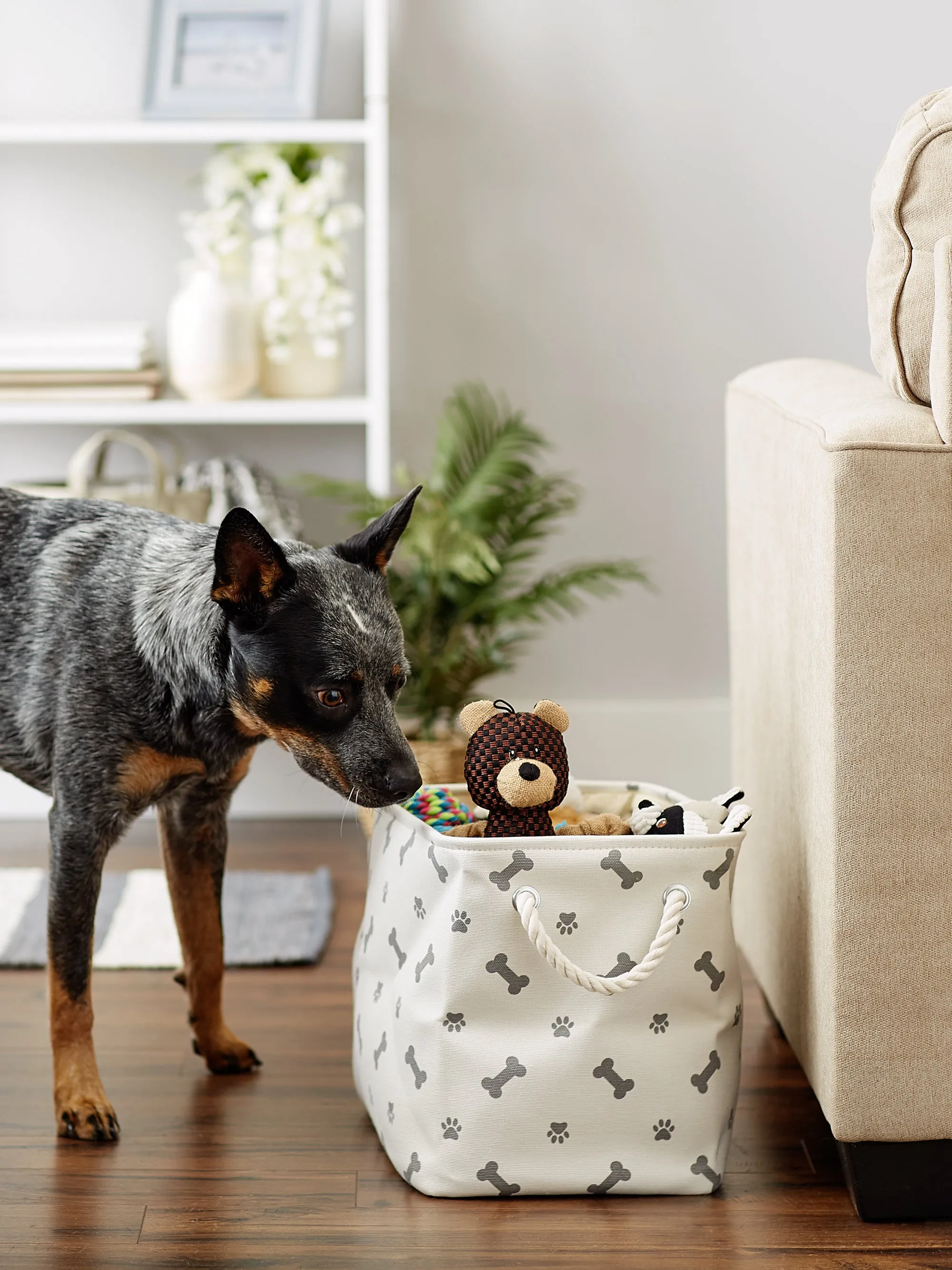 Bone Dry Collapsible Pet Storage Bin, Paw/Bone Print, Gray, Medium - 16x10x12"