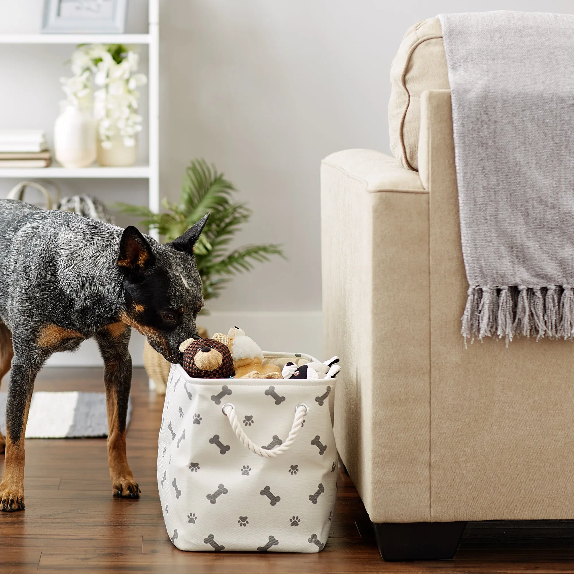 Bone Dry Collapsible Pet Storage Bin, Paw/Bone Print, Gray, Medium - 16x10x12"