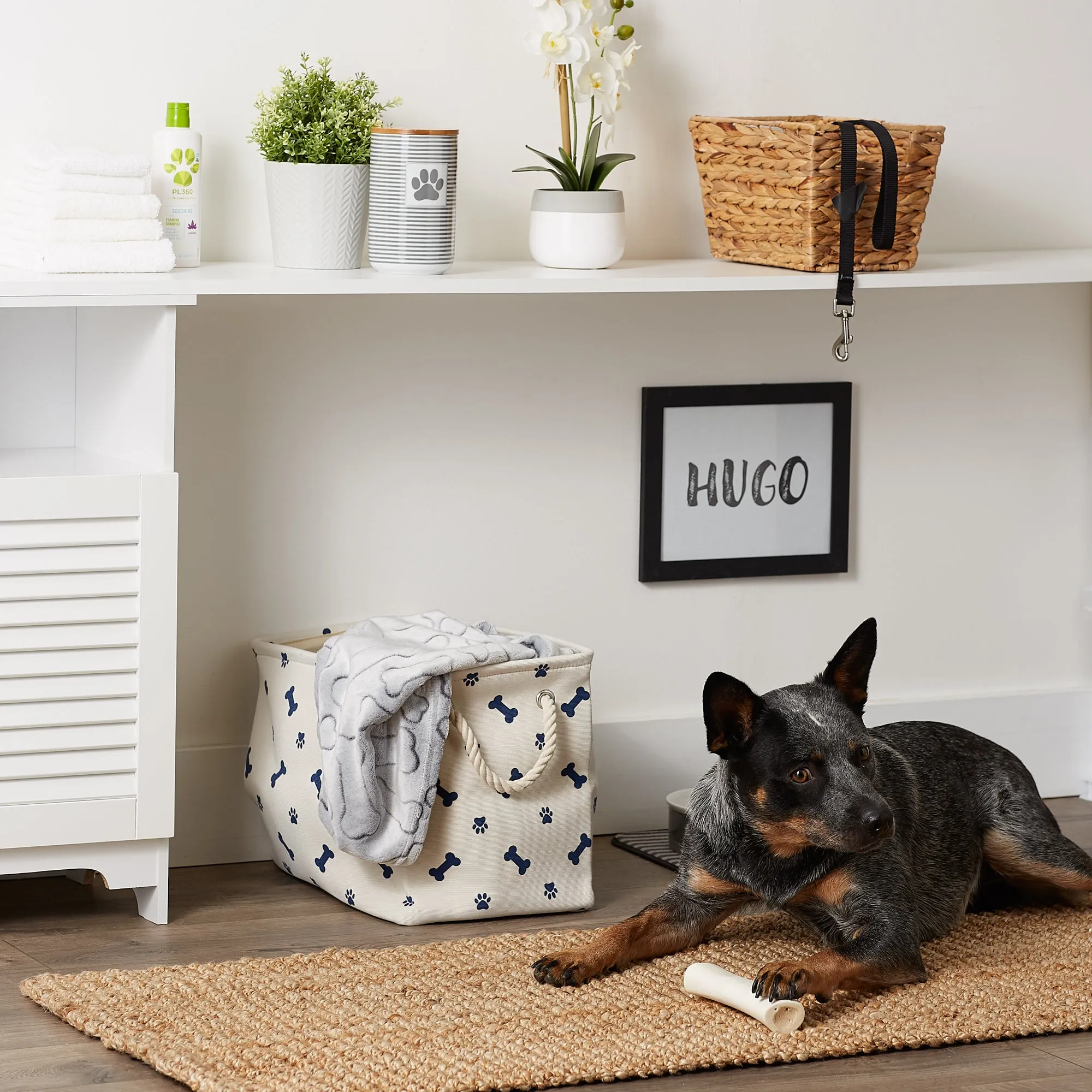 Bone Dry Collapsible Pet Storage Bin, Paw/Bone Print, Nautical Blue, Small - 14x8x9"