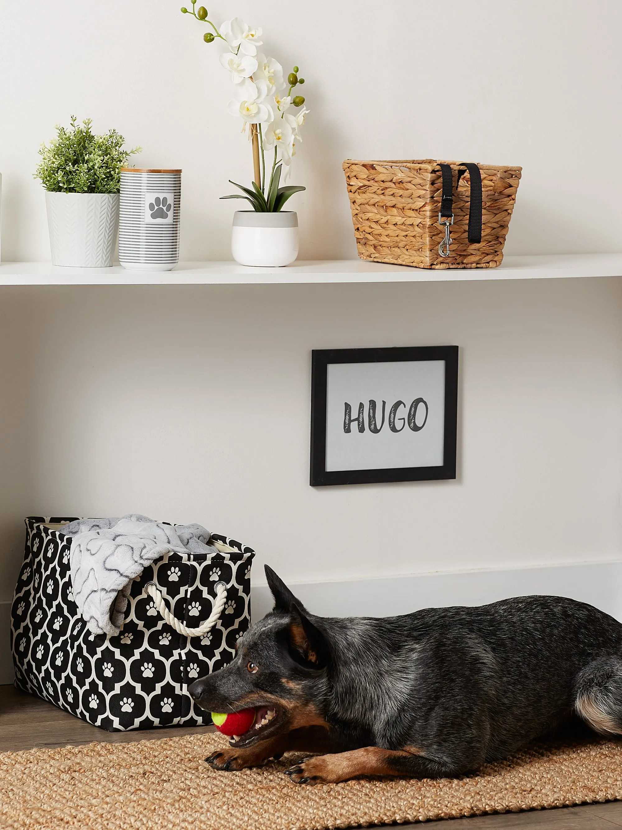 Bone Dry Pet Storage Bin, Lattice Paw Print, Black, Medium  - 16x10x12"