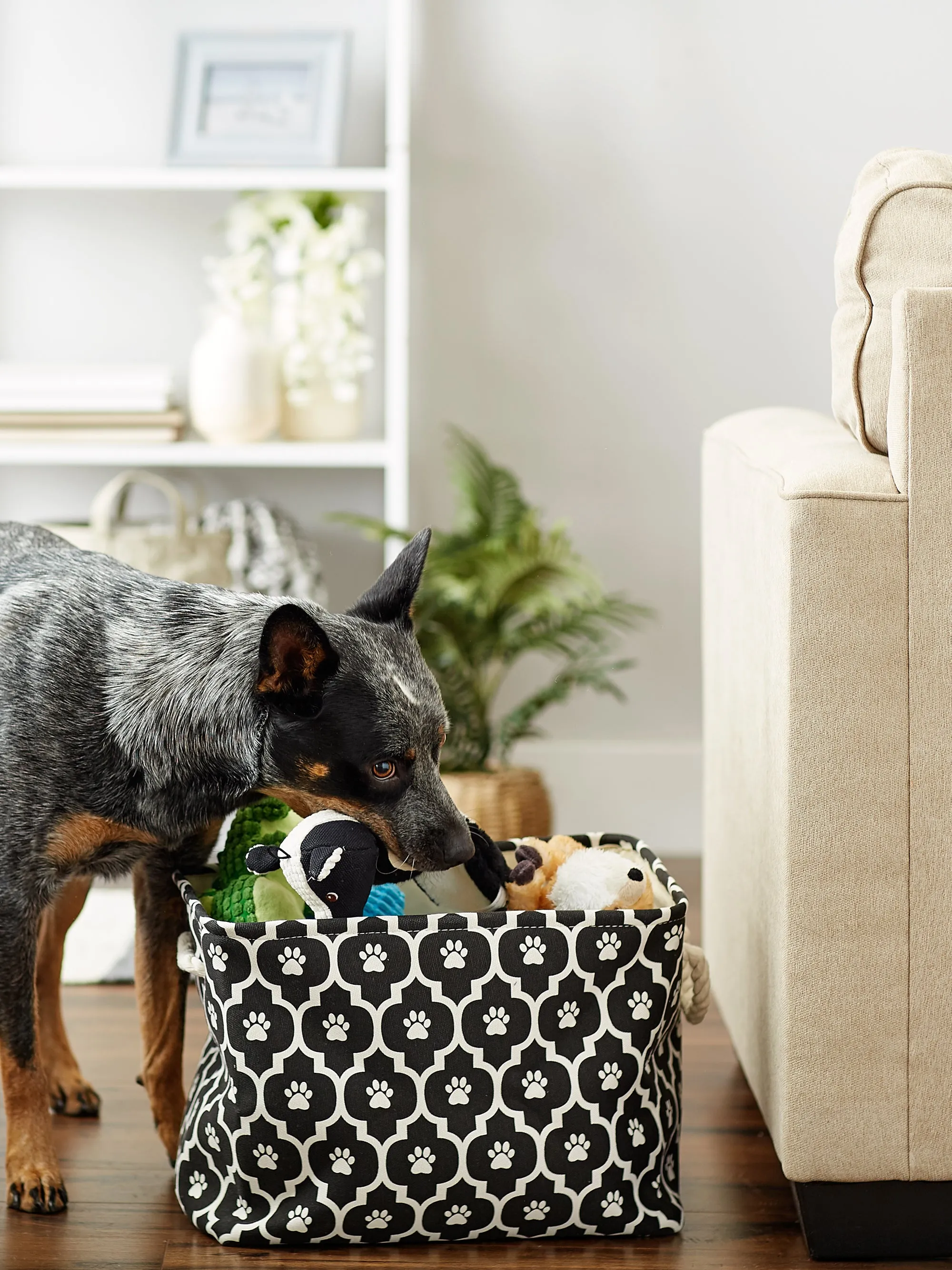 Bone Dry Pet Storage Bin, Lattice Paw Print, Black, Medium  - 16x10x12"