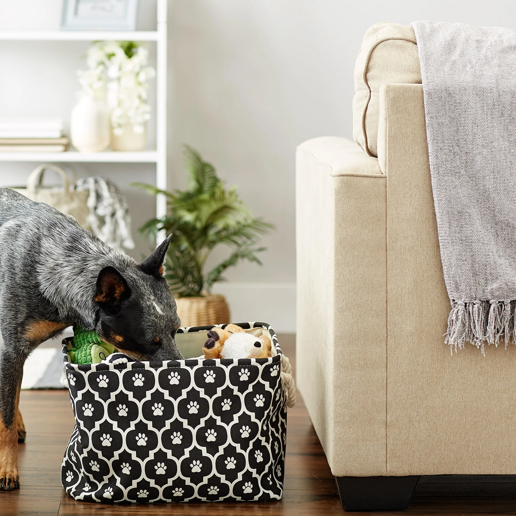 Bone Dry Pet Storage Bin, Lattice Paw Print, Black, Medium  - 16x10x12"