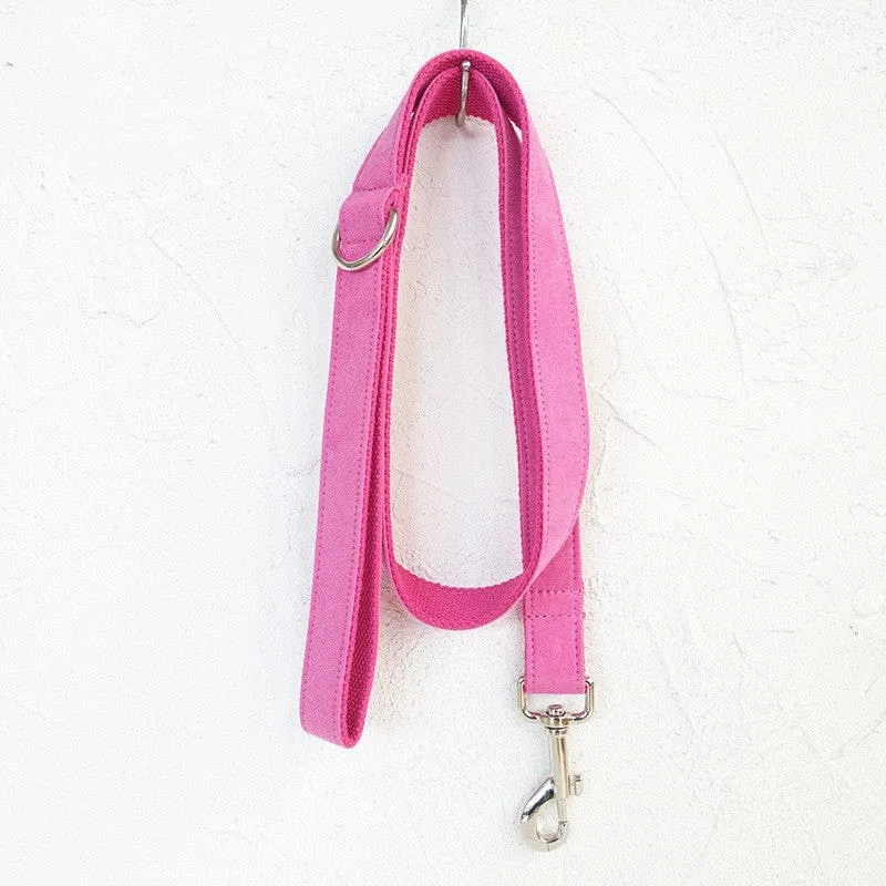 Bowtie Dog Collar and Leash Set