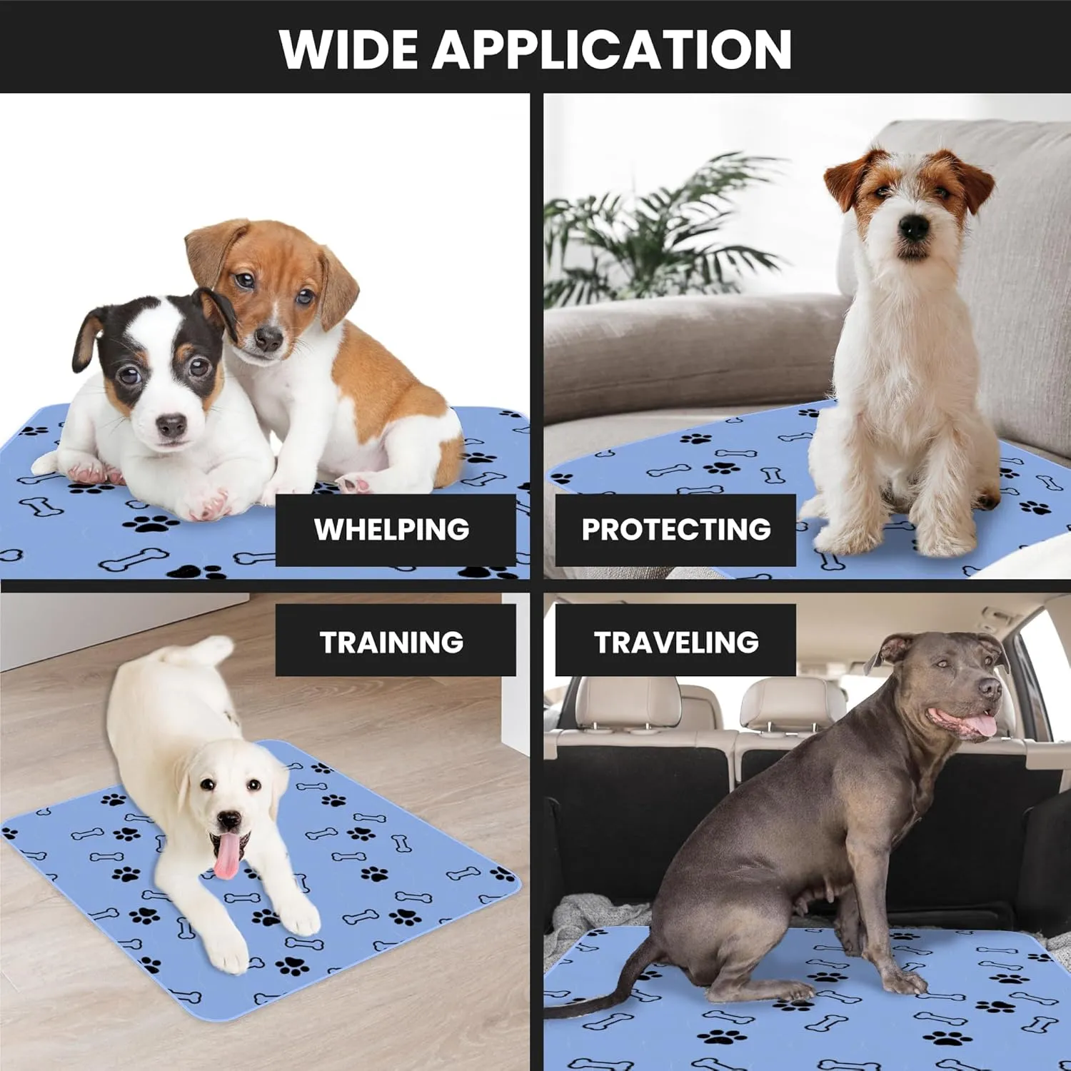 Buddy's Best Washable Pee Pads  Large (47"x47")  Ultra Absorbent, Non-Slip, for Whelping, Housebreaking, Incontinence, Multiple Pets, Furniture Protection (2-Pack)   Grooming Glove