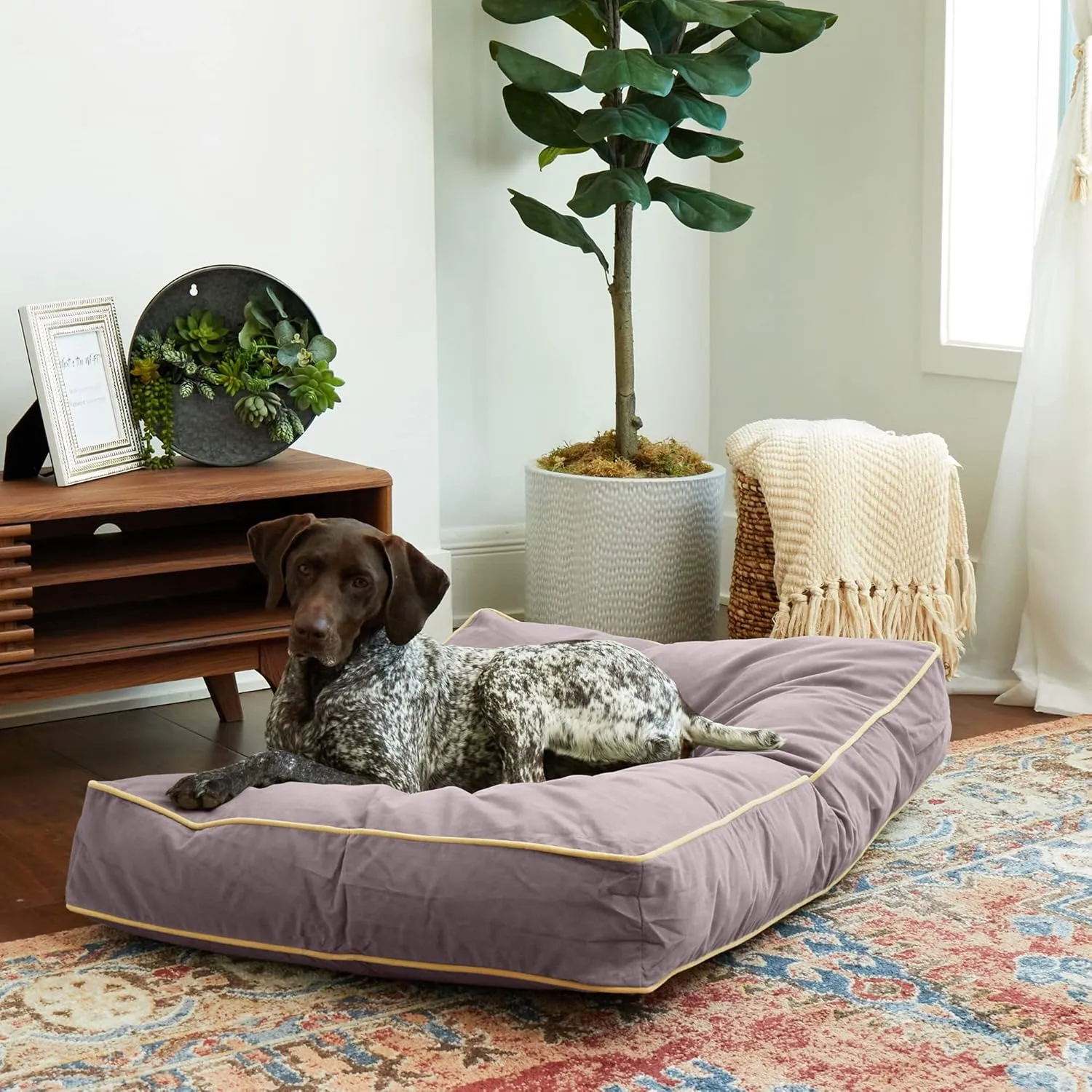 Buster Reversible Rectangle Pillow Style Dog Bed, Smoke, Medium (42 x 30 in.)
