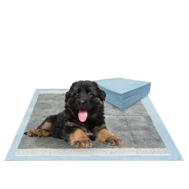 BV Pet Disposable Potty Training Pee Pads - Dog and Puppy, 28" x 34", 40/320 Count - Charcoal