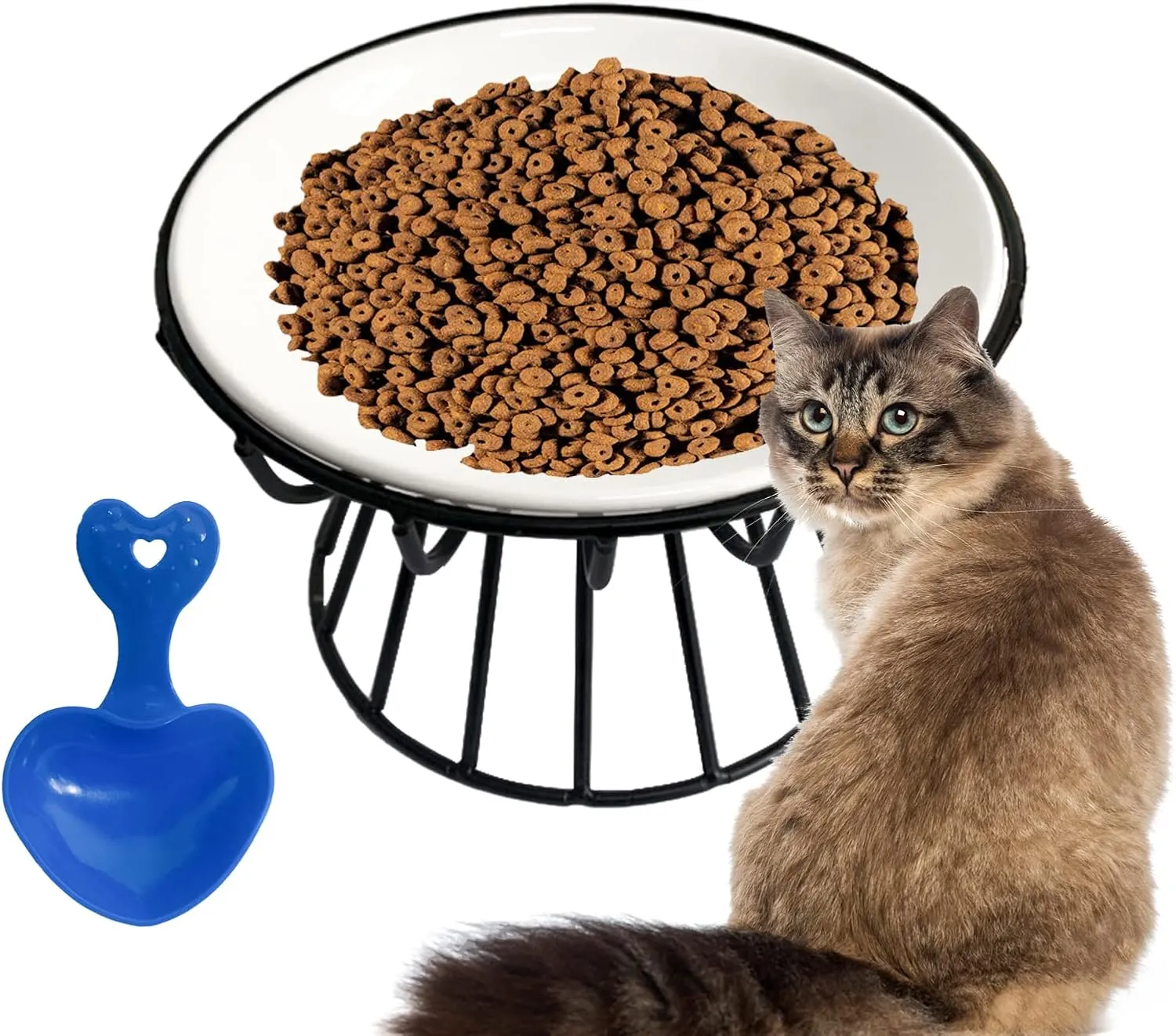 Ceramic Cat Bowls with Metal Stand,Elevated Cat Bowl Raised Kitten Food&Water Feeding Shallow Dish for Indoor Cats,Puppies,Small Dogs(Black)