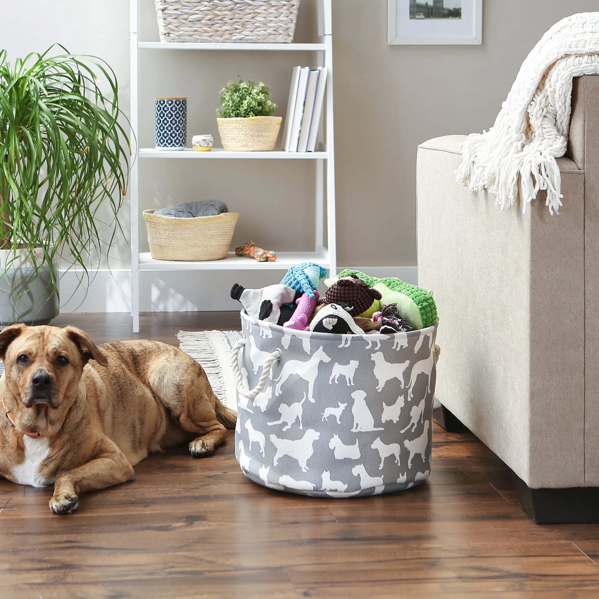 Collapsible Pet Storage Bin, Dog Show Print, Gray, Medium Round - 12x15"