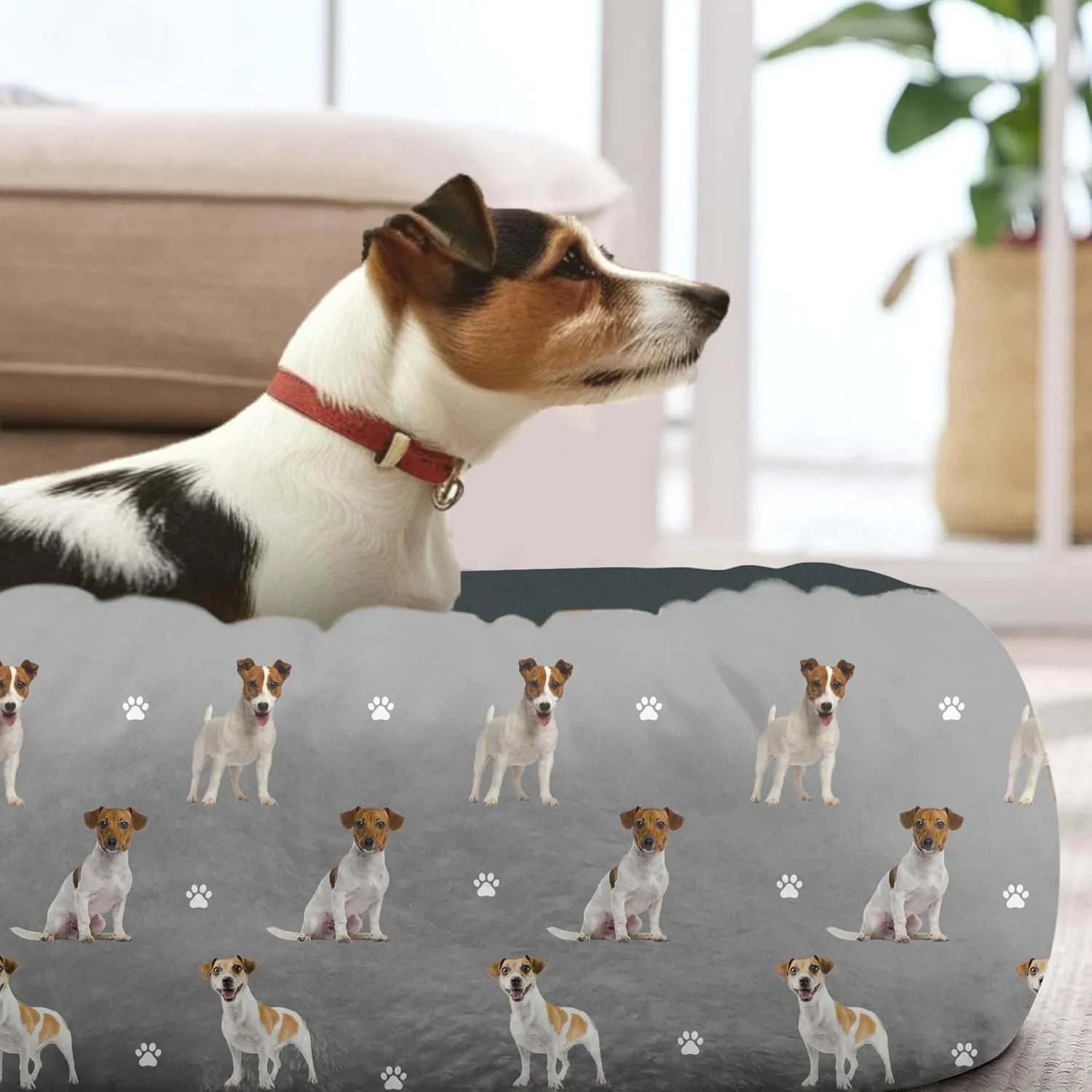 Dog Calming Beds for Small Medium Large Dogs - Round Donut Washable Dog Bed (Jack Russell Terrier, Small:20 * 20 * 8in)