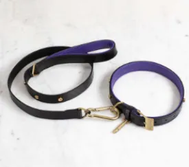 DOG COLLAR X-LARGE   DOG LEAD