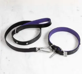 DOG COLLAR X-LARGE   DOG LEAD