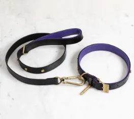 DOG COLLAR X-LARGE   DOG LEAD