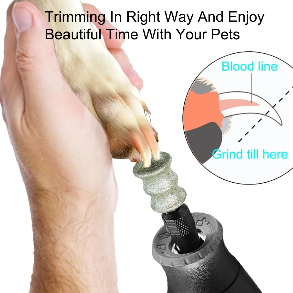 Dog Nail Grooming Tools - Dog Nail Grinder Attachment for Dremel - Diamond Rotary Nail Grinder Bits for Small Medium Dogs Cats and Animals (L)