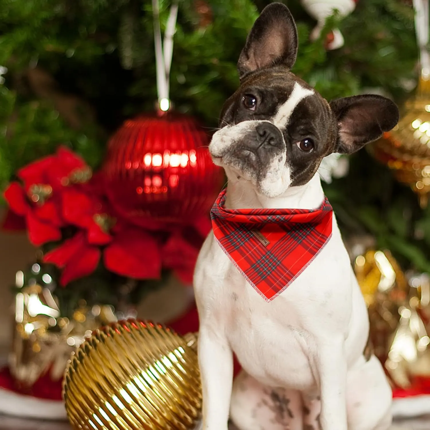 Elegant Little Tail Christmas Bandana for Small Medium Large Soft Dogs - Washable Square Dog Scarf Adjustable Kerchief in Holiday Girl Boy Colors