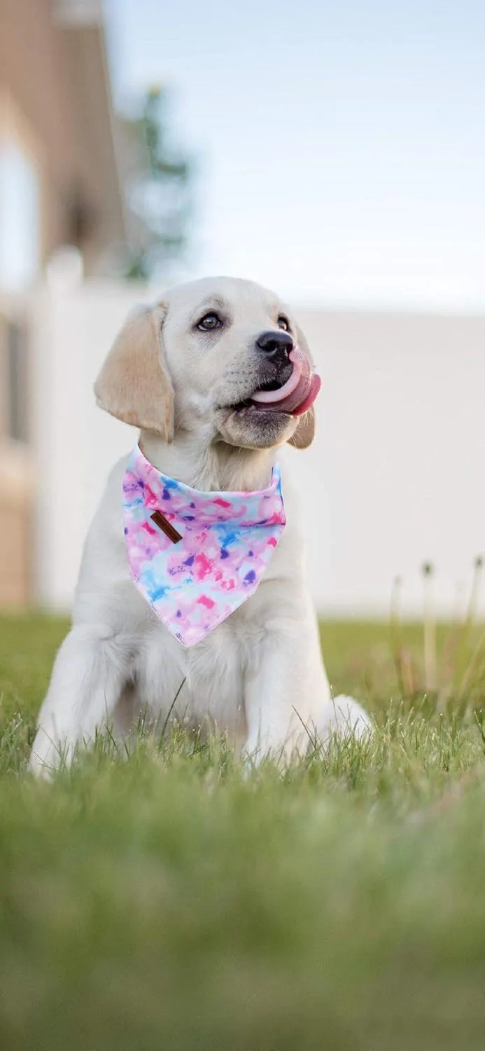 Elegant Little Tail Dog Bandanas - Comfortable Adjustable Square Kerchiefs for Boys & Girls, Small to Large Dogs