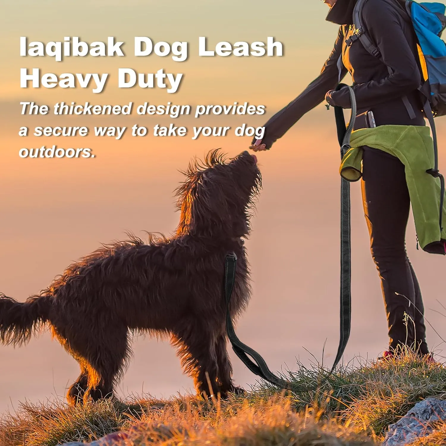 Heavy Duty Dog Leash, Laqibak Double-Sided Reflective Double Handle Dog Leash - Double-Layer Thickening, Lockable Safety Carabiner Design, 6 FT Perfect for Medium & Large Dogs Joyful Strolls, Black