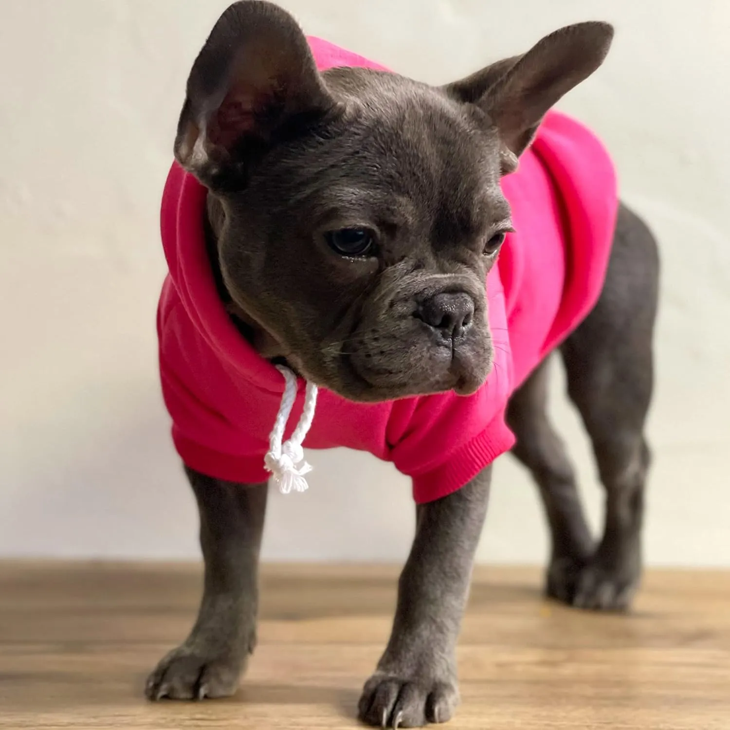 It's My Gotcha Day Dog Hoodie Fleece Lined Pullover Sweatshirt with Leash Hole(Red, 5X-Large 12)