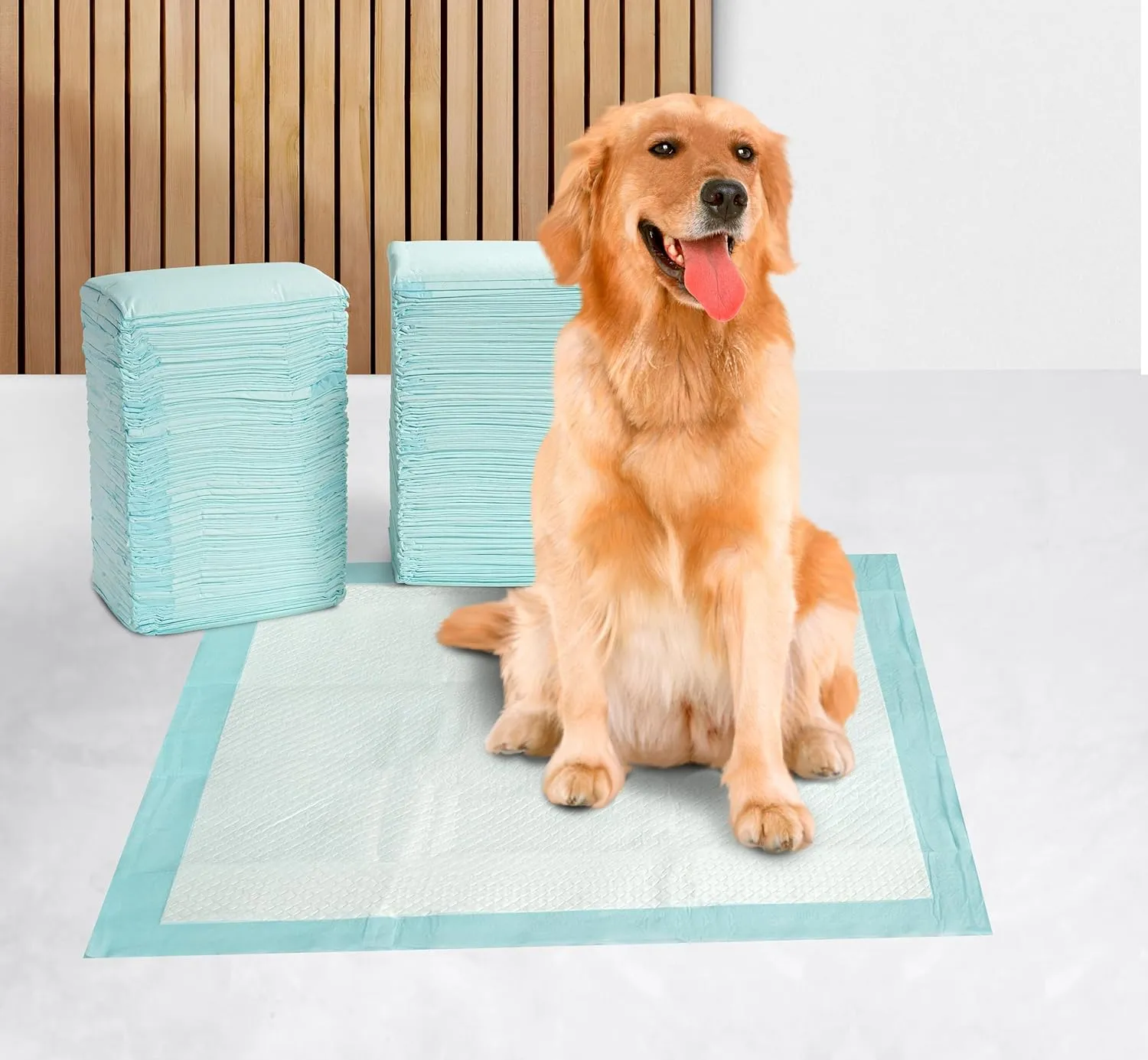 Lane Linen Dog Pee Pads with Leak-Proof Quick-Dry Design for Potty Training, Disposable Potty Pads, Standard Absorbency, Dog Training Pads, Regular Size, 22 x 22 Inches - Pack of 100