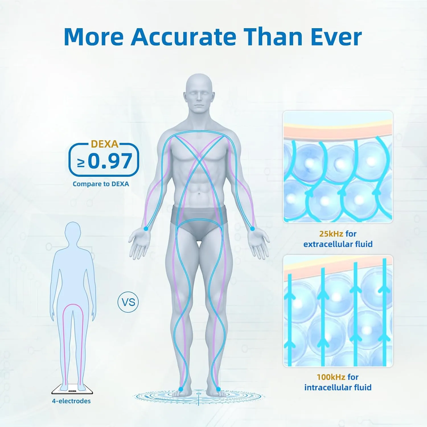 Lepulse ,8 , Bmi,,,, 20 ,()