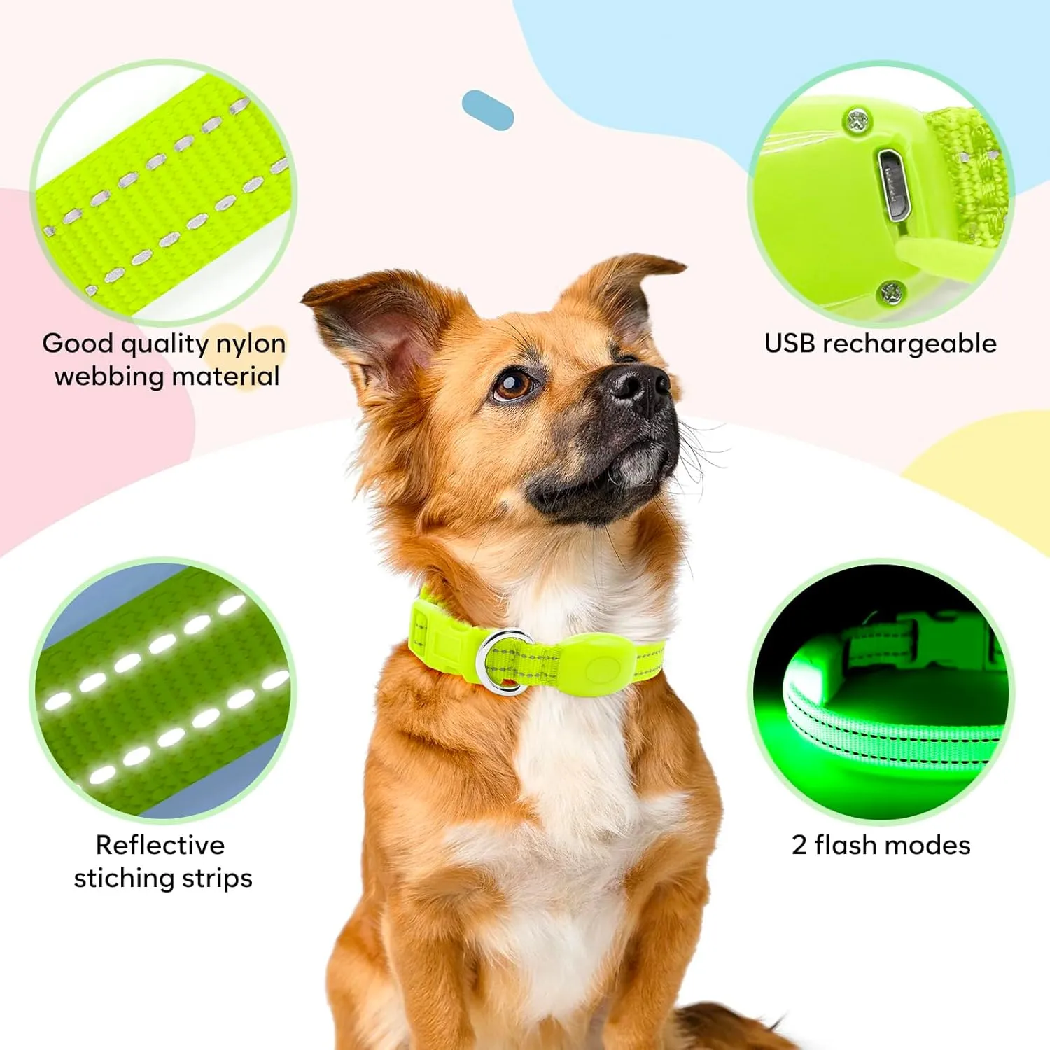 Light Up Dog Collar Rechargeable - Reflective LED Pet Collar for Puppies & Cats, Glowing in The Dark Dog Lights for Night Walking (XS, Green)