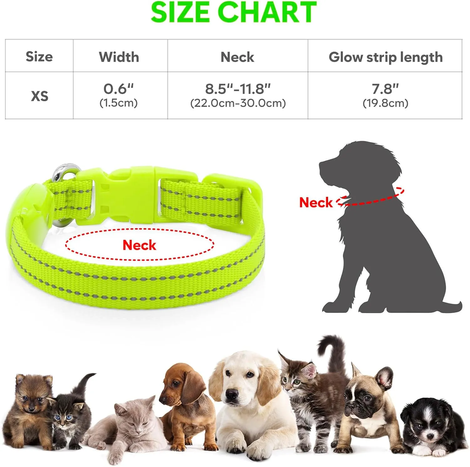 Light Up Dog Collar Rechargeable - Reflective LED Pet Collar for Puppies & Cats, Glowing in The Dark Dog Lights for Night Walking (XS, Green)