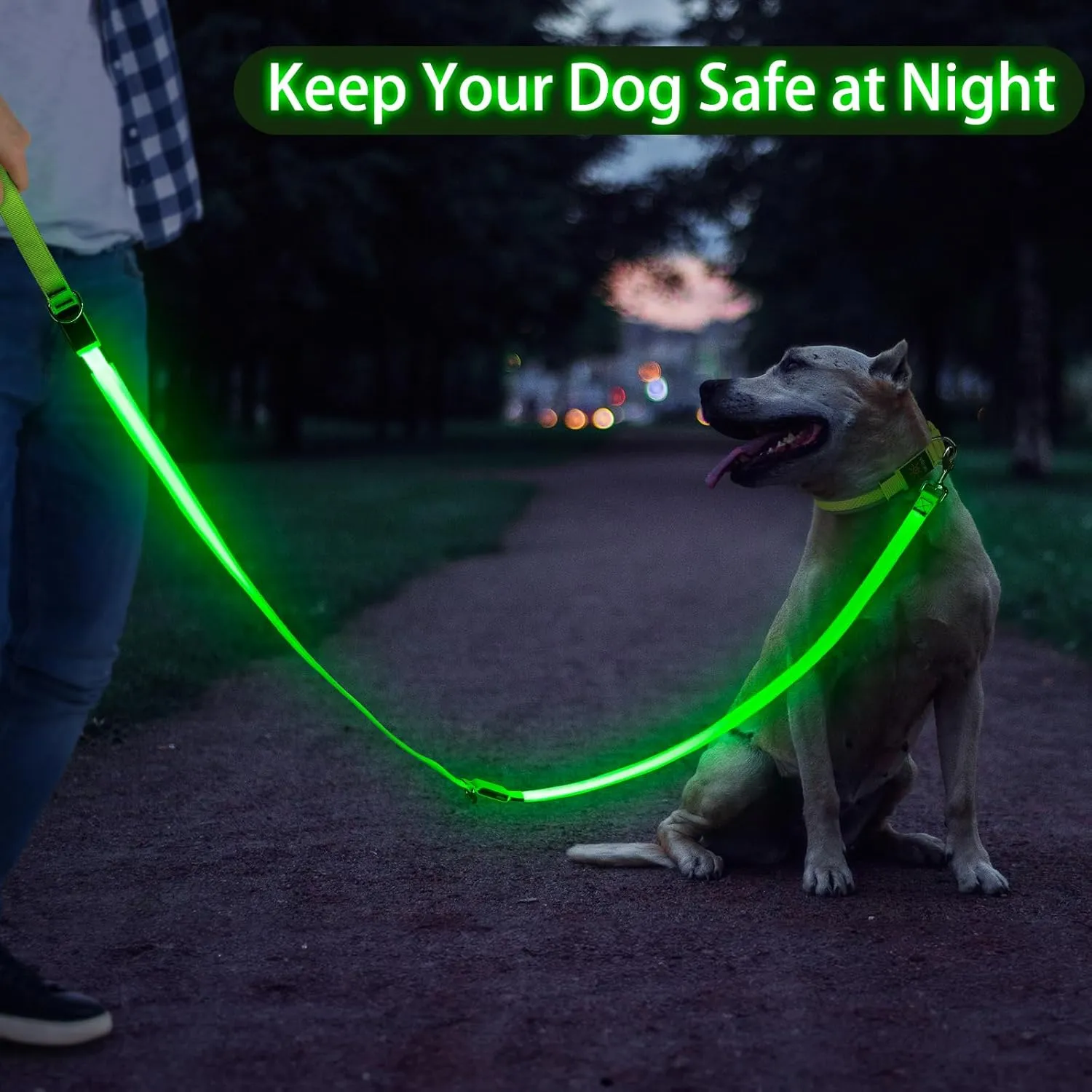 Light Up Dog Leash, 6 Ft LED Leashes Rechargeable, Nylon Reflective Lead with Padded Handle for Night Walking, Safety Glow Lights for Large Medium Small Dogs(Green, 6 Ft)