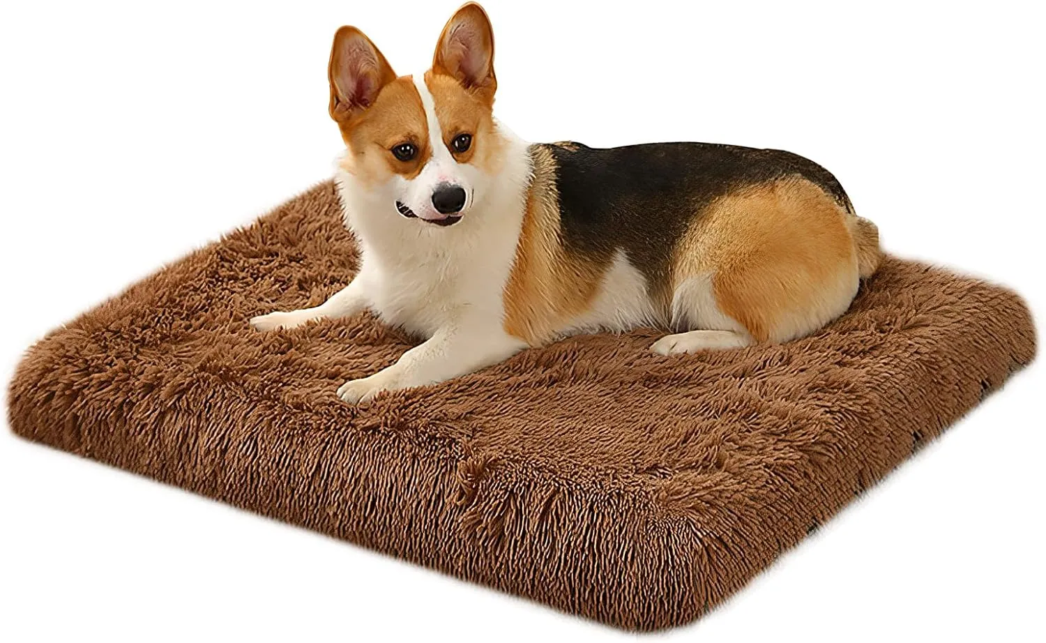 Mewtwo Orthopedic Dog Bed, with Memory Foam Layer,Ultra Plush Comfy, Beds for Large, Medium, Small Dogs, Pet mat Sofa, Removable Washable Cover,40"x30"x4",Khaki