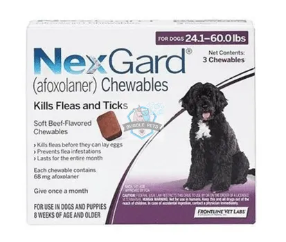 NexGard Flea & Tick Chews For Large Dogs (10 to 25Kg)