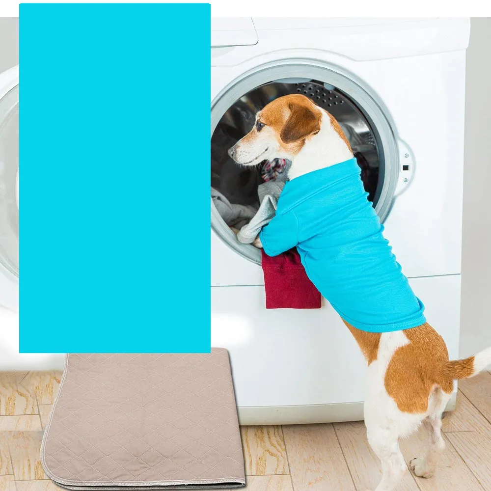 NNEDPE 2pcs Waterproof Washable Training Pee Pads - Jumbo