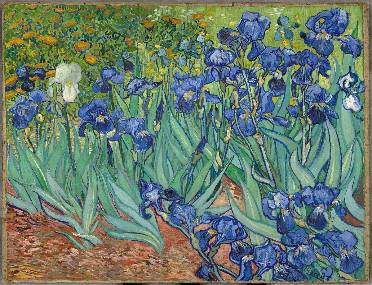 Oopera Raincoat - IRISES BY VINCENT VAN GOGH - J2239RW-8