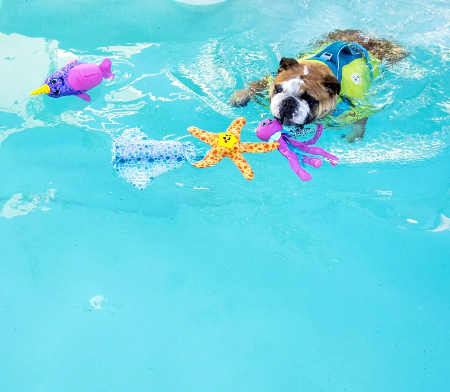 Outward Hound Floatiez Stingray Floating Interactive Dog Toy, Large