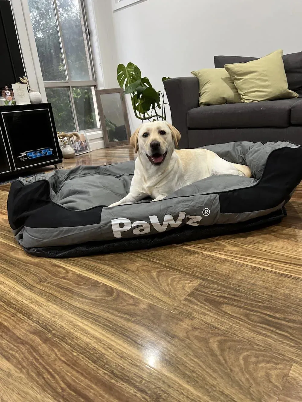 Pawz Outdoor Waterproof Heavy Duty Dog Bed