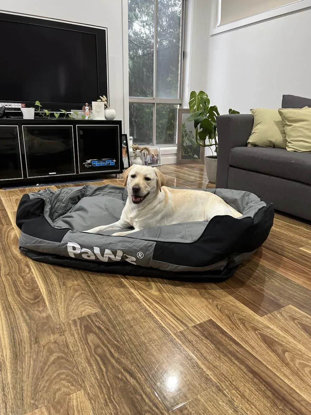 Pawz Outdoor Waterproof Heavy Duty Dog Bed