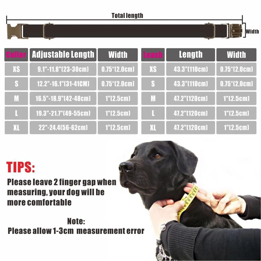 Pet Collar Adjustable Bubble Cat Dog Collars Lead Leash