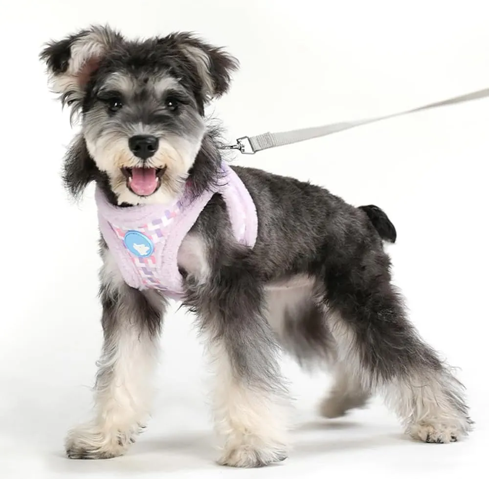 Small Dog Harness and Leash Set, Winter Warm Dog Vest Harness, Soft Plush Padded Puppy Harness with Quick Release Buckles for Walking (Purple,XS)
