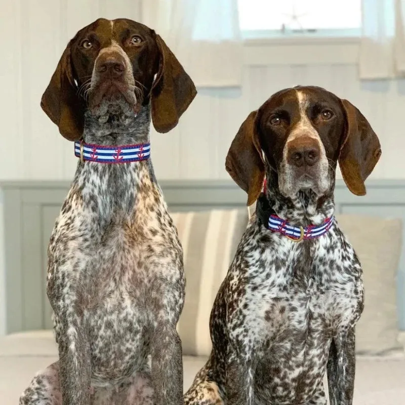 Up Country Anchors Aweigh Dog Collar & Leash Matching Set