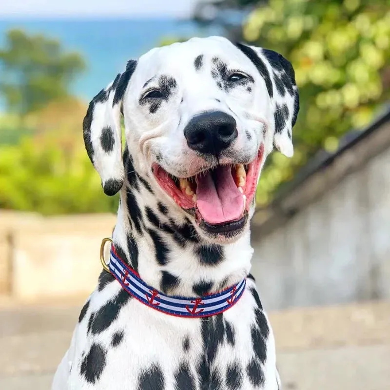 Up Country Anchors Aweigh Dog Collar & Leash Matching Set