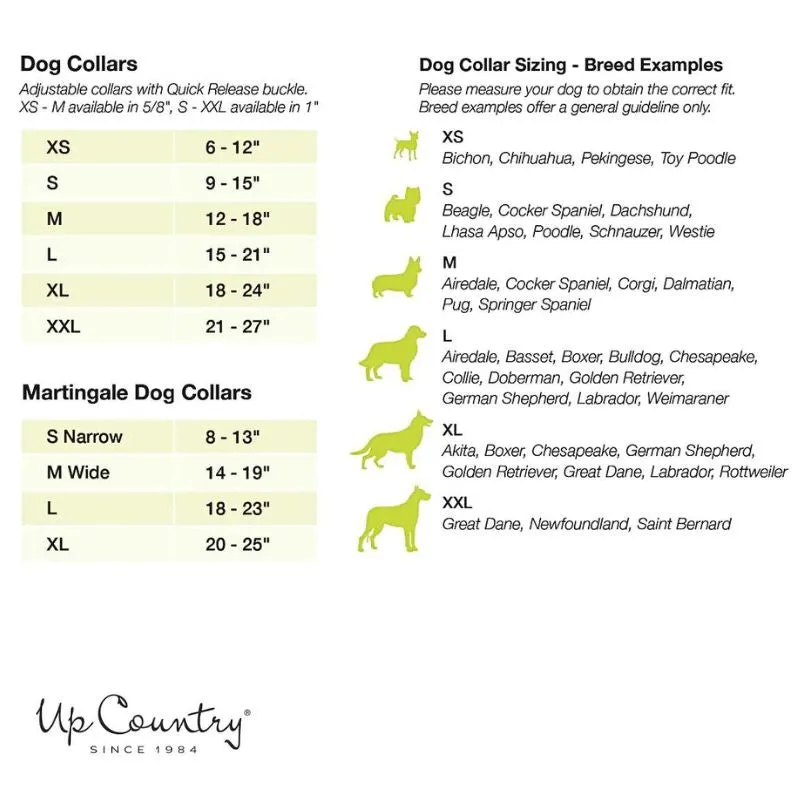 Up Country Floaties Dog Collar & Leash Matching Set