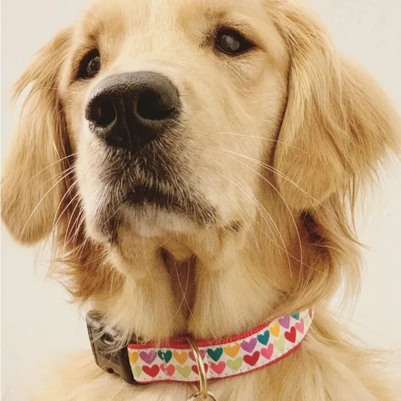 Up Country Pop Hearts Dog Collar & Leash Matching Set