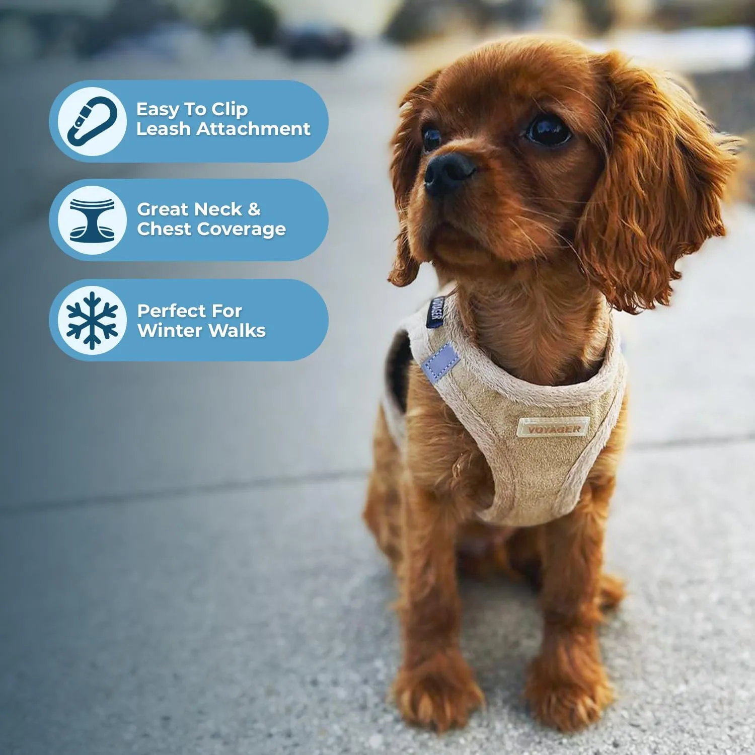 Voyager Step-In Plush Dog Harness  Soft Plush, Step In Vest Harness for Small and Medium Dogs by Best Pet Supplies - Harness (Latte Suede), L (Chest: 18 - 20.5")