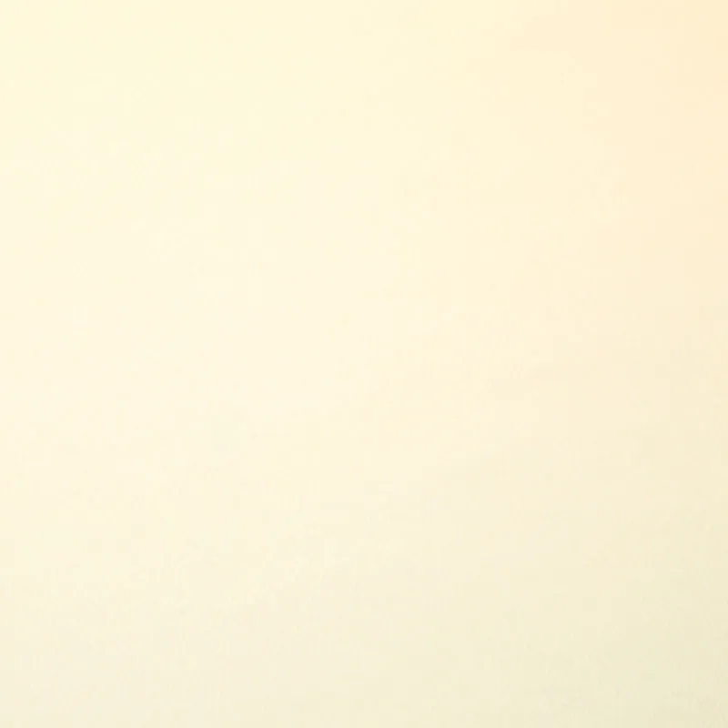 Winterfleece Solids - New Ivory Yardage
